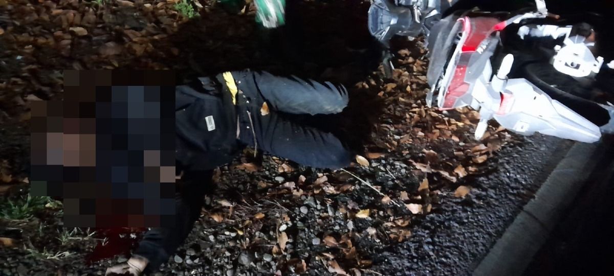 Kecelakaan Tunggal di Karangmojo: Warga Ponjong Tewas Tabrak Pohon